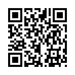 QR CODE 53