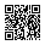 QR CODE 31