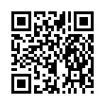 QR CODE 53