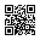 QR CODE 31