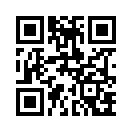 QR CODE 41