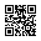 QR CODE 42