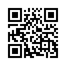 QR CODE 519