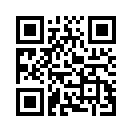 QR CODE 529