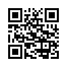 QR CODE 42