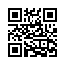 QR CODE 31