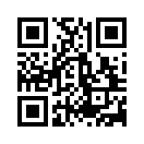 QR CODE 336