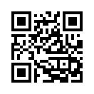 QR CODE 461