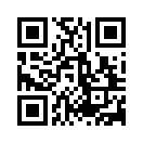 QR CODE 494