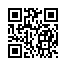 QR CODE 501