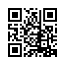 QR CODE 133