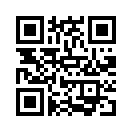 QR CODE 31