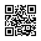 QR CODE 336