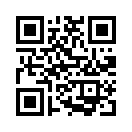 QR CODE 461