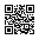 QR CODE 529