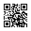 QR CODE 53