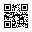 QR CODE 1333