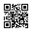 QR CODE 31