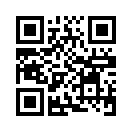 QR CODE 394
