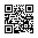 QR CODE 447