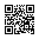 QR CODE 856