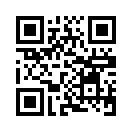 QR CODE 913
