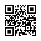 QR CODE 950