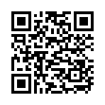 QR CODE 31