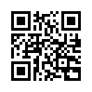 QR CODE 31