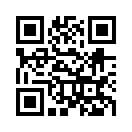QR CODE 42