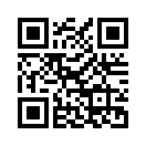 QR CODE 53