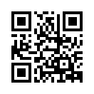 QR CODE 305