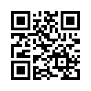 QR CODE 316