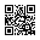 QR CODE 317