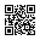 QR CODE 329