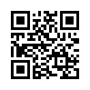 QR CODE 336