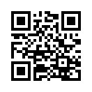 QR CODE 133