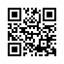 QR CODE 31