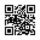 QR CODE 31