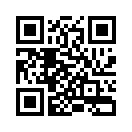 QR CODE 29