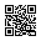 QR CODE 30