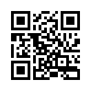 QR CODE 31