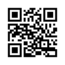 QR CODE 42