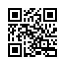 QR CODE 46