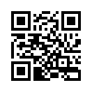 QR CODE 53