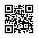QR CODE 1333