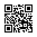 QR CODE 1384