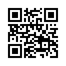 QR CODE 394