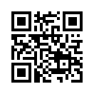 QR CODE 913