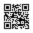 QR CODE 993